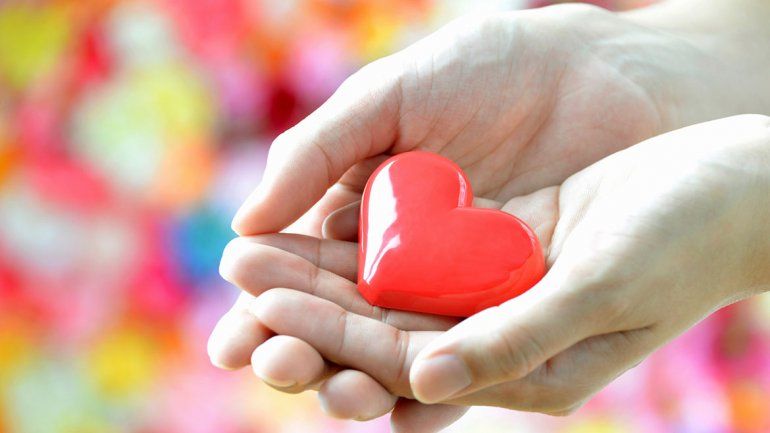 Un verano récord en donaciones y trasplantes