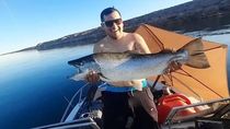 una captura record en mari menuco: un pescador saco una trucha marron de mas de 9 kilos una captura record en mari menuco: un pescador saco una trucha marron de mas de 9 kilos
