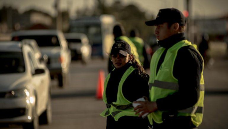 Quisieron meter al Alto Valle más de 400 kilos de carne ilegal