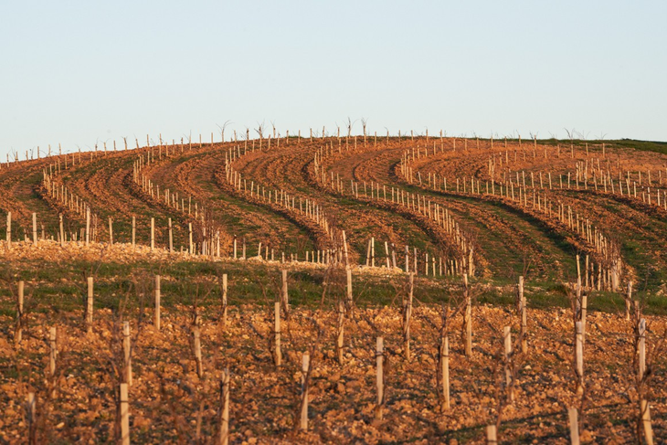 Se espera que la colección alcance los 20.000 biotipos en el corto plazo. Se espera que la colección alcance los 20.000 biotipos en el corto plazo.