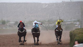 El turf regresa tras siete meses. El turf regresa tras siete meses.