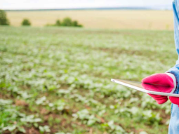 En la Patagonia, el alto costo de vida reduce el poder real del salario del agrónomo. En la Patagonia, el alto costo de vida reduce el poder real del salario del agrónomo.