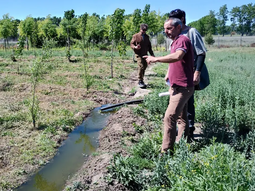 el reuso de efluentes para la forestacion productiva el reuso de efluentes para la forestacion productiva