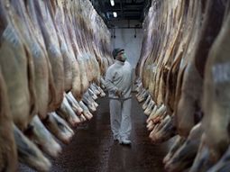 Se observa una clara mejora en volumen sobre las exportaciones de carne. Se observa una clara mejora en volumen sobre las exportaciones de carne.