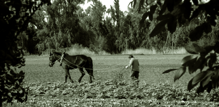 Trabajando la chacra, publicación de Inta Alto Valle. Foto: Archivo Cabus Trenes. Trabajando la chacra, publicación de Inta Alto Valle. Foto: Archivo Cabus Trenes.