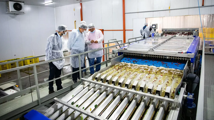 El ministro Carlos Banacloy destaca los beneficios del RIMI para reducir costos de producci&oacute;n.