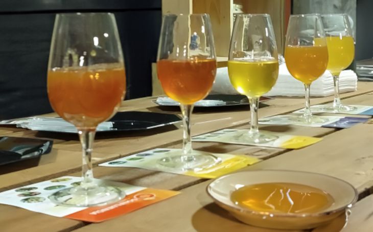 Las mieles oscuras de la región tienen más propiedades, una de ellas es mayor conductividad eléctrica que permite que sean más blandas. Foto: gentileza secretaria de Producción de Neuquén. Las mieles oscuras de la región tienen más propiedades, una de ellas es mayor conductividad eléctrica que permite que sean más blandas. Foto: gentileza secretaria de Producción de Neuquén.