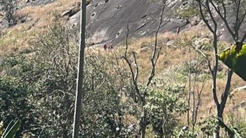 frenaron en un mirador para tener sexo y los encontraron muertos: la historia de la fatal madrugada