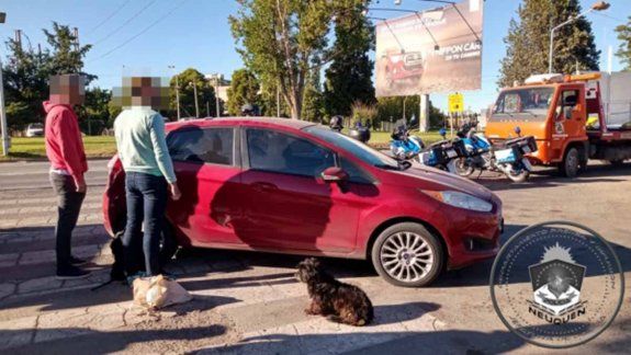 Quiso entrar a Neuquén en el baúl de un auto: fue detenido