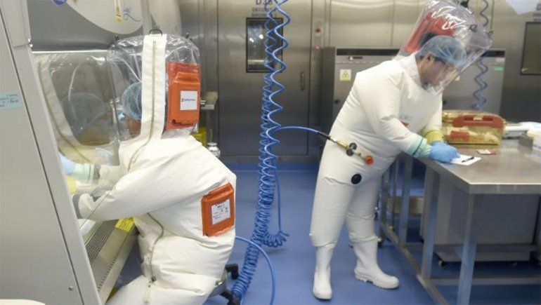 Los científicos analizan pruebas sobre el origen del coronavirus
