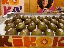 Son dulces, con una acidez entre baja y nula en comparación con las verdes. Tienen un valor nutritivo superior a los verdes. Son dulces, con una acidez entre baja y nula en comparación con las verdes. Tienen un valor nutritivo superior a los verdes.