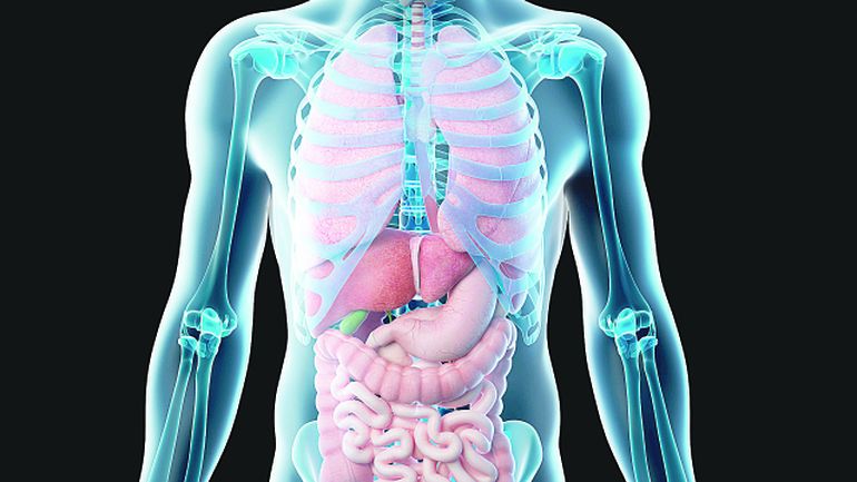 El hígado es un órgano vital en nuestro cuerpo y la dieta y el ejercicio ayudan a que esté limpio. El hígado es un órgano vital en nuestro cuerpo y la dieta y el ejercicio ayudan a que esté limpio.