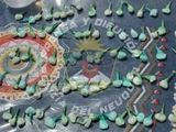 En casi todos los procedimientos donde fue apresada la Tía, las fuerzas de seguridad secuestraron droga lista para la venta.