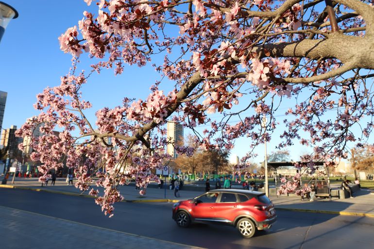 El pronóstico del tiempo en Neuquén dice que será un domingo agradable. El pronóstico del tiempo en Neuquén dice que será un domingo agradable.