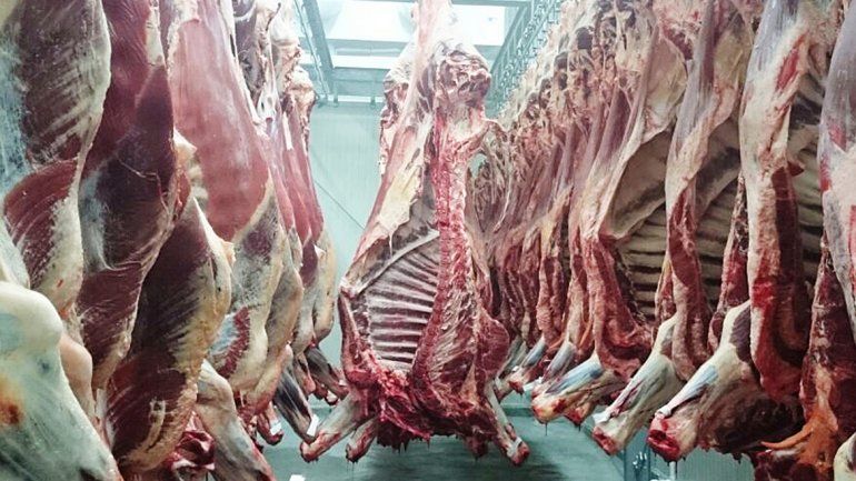 Centenario reactiva su matadero y piensa en la economía local