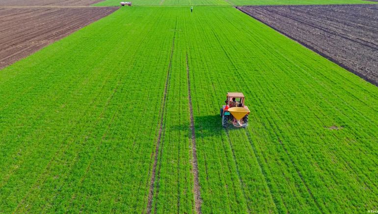 Producción a gran escala afecta a la biodiversidad