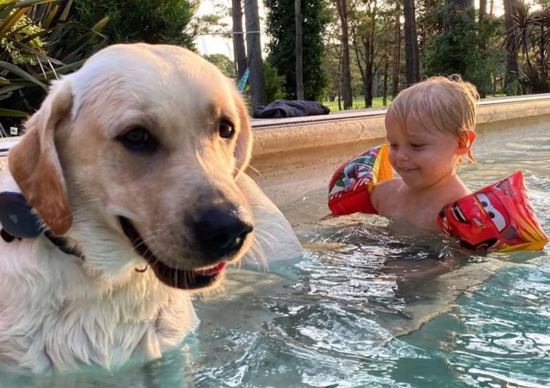 Mirko y Bailey Mirko y Bailey