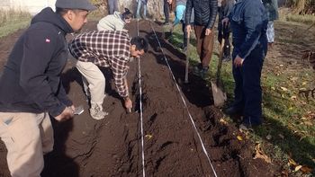 La siembra de ajo ya comenzó. La siembra de ajo ya comenzó.