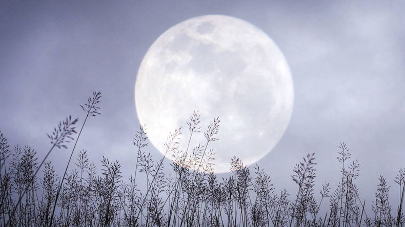 La Luna de Nieve se conoce también como Luna Brillante por su intensidad lumínica. | LM Neuquen La Luna de Nieve se conoce también como Luna Brillante por su intensidad lumínica.