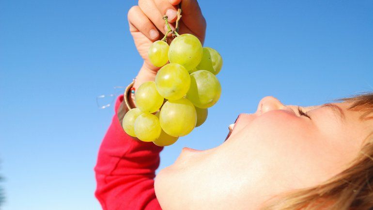 ¿Qué hacer cuando una persona se atraganta con comida?