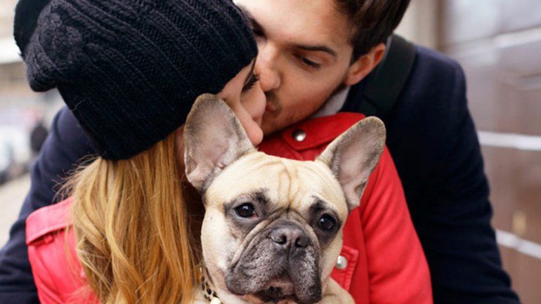 La mascota mejora la relación de pareja