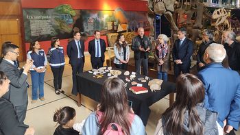 rio negro recupero mas de 6400 fosiles que intentaron contrabandear a espana rio negro recupero mas de 6400 fosiles que intentaron contrabandear a espana