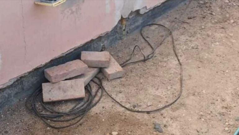 La policía de Chubut dio aviso de la situación a la Cooperativa Eléctrica e intervino la nueva Fiscalía especializada en maltrato animal