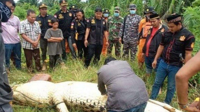 Un cocodrilo se tragó entero a un nene de 8 años