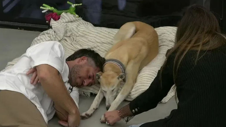 Gran Hermano: Paris fue adoptada y no volverá a la casa