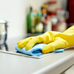 Sueldo empleada doméstica por 4 horas de lunes a viernes | LM Neuquen Sueldo empleada doméstica por 4 horas de lunes a viernes