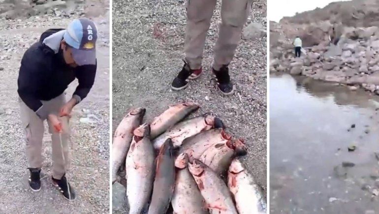 Las truchas pescadas superaban el número permitido. Se iniciará una investigación. 