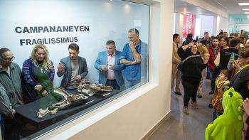 El nuevo dinosaurio fue presentado en El Chocón. El nuevo dinosaurio fue presentado en El Chocón.