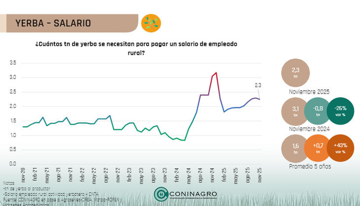 Yerba mate en alerta: el poder de compra del productor se desplom&oacute; 40% en cinco a&ntilde;os