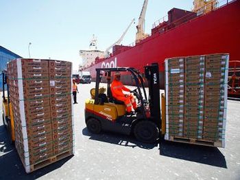 Las exportaciones de frutas chilenas volvieron a mostrar un récord en enero 2024.