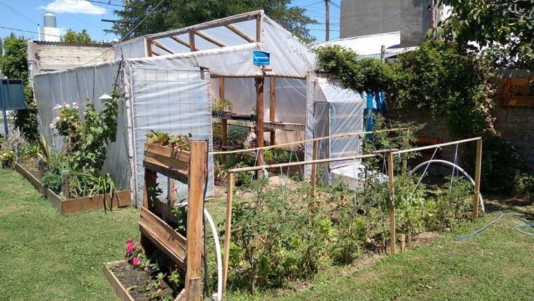 Cuáles son los consejos para tener una huerta exitosa en casa