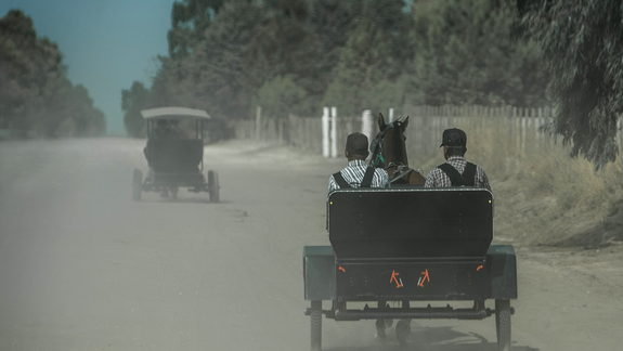 Una postal clásica de la comunidad menonita de La Pampa. Foto: @coloniamenonitalanuevaesperanza
