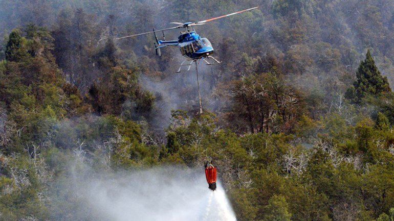 El pasado 5 de marzo un incendio en Moquehue arrasó con diez hectáreas de bosque