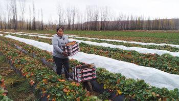mujeres agricultura.jpg