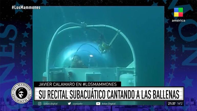 En Los Mammones, Javier Calamaro recordó su recital subacuático con las ballenas. 