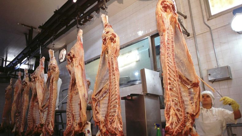 La falta de hacienda y la caída en la faena nacional impulsan nuevos incrementos que preocupan a consumidores y productores. | LM Neuquen La falta de hacienda y la caída en la faena nacional impulsan nuevos incrementos que preocupan a consumidores y productores.