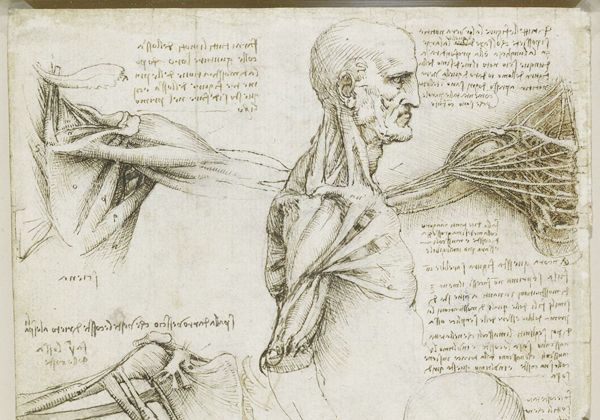 Leonardo Da Vinci, un adelantado en el estudio del cuerpo humano