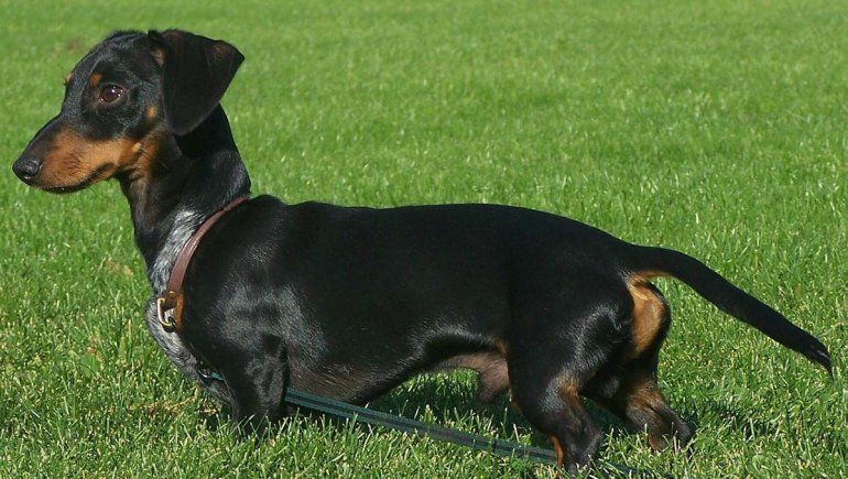 El clip supera un millón de reproducciones en Twitter