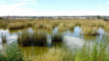 En el barrio San lorenzo conviven con grandes focos infecciosos y gastan fortunas en insecticidas. En el barrio San lorenzo conviven con grandes focos infecciosos y gastan fortunas en insecticidas.