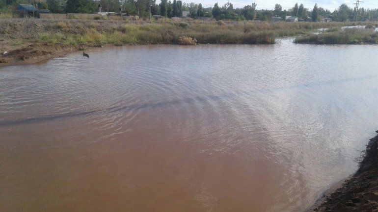 La laguna es muy grande y ya está contaminada.