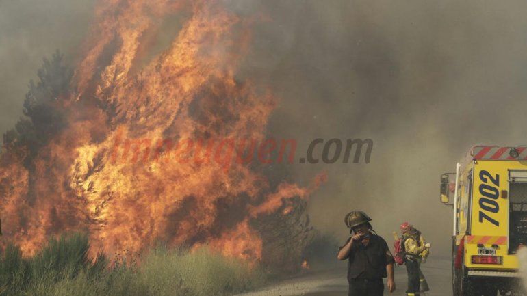 Brigadistas intentan controlar un voraz incendio en San Martín