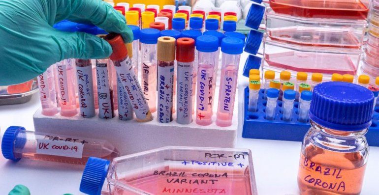 Covid-19: descubren una posible nueva variante en Bélgica