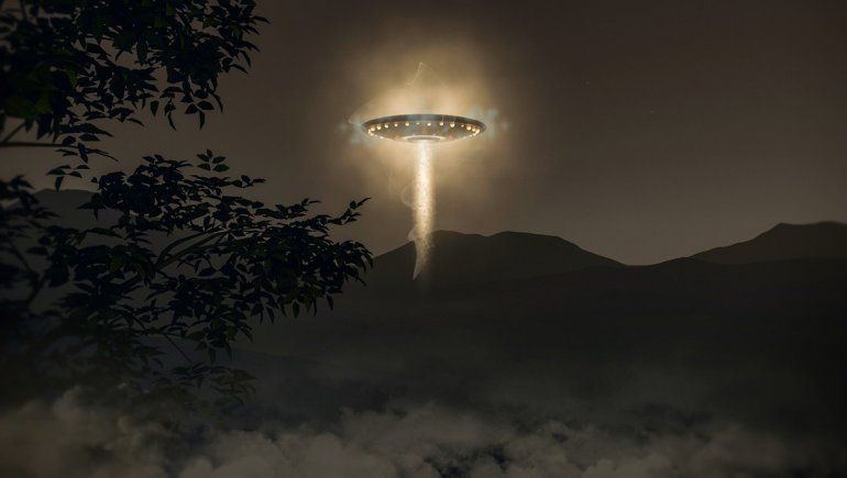 El video generó un debate en TikTok