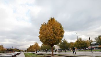 que dice el pronostico para este jueves 4 de diciembre en neuquen que dice el pronostico para este jueves 4 de diciembre en neuquen