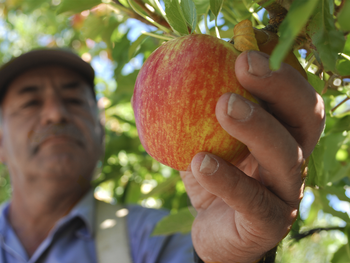 Competencia feroz: perfiles técnicos migran del agro al oil and gas por salarios hasta el doble. Competencia feroz: perfiles técnicos migran del agro al oil and gas por salarios hasta el doble.