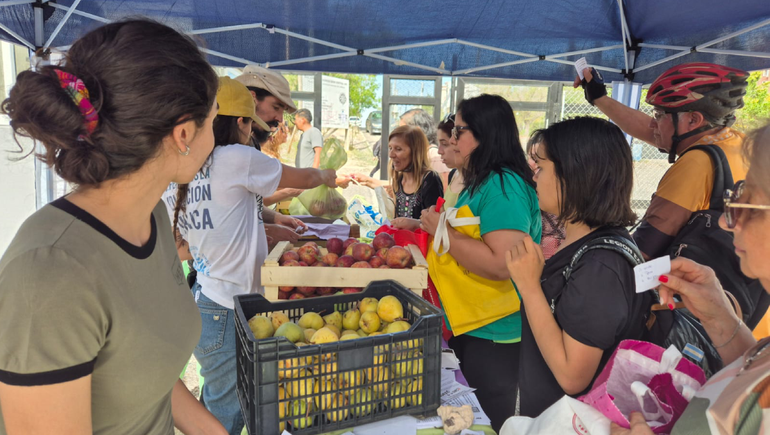 La UNCo realizará el primer Frutazo del año: peras y manzanas a mil pesos el kilo